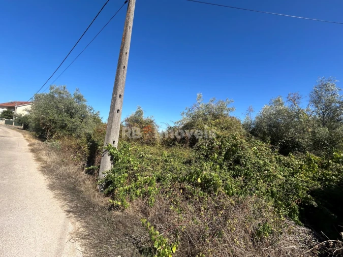Terreno Agricola ou Rústico para Venda em Serra e Junceira