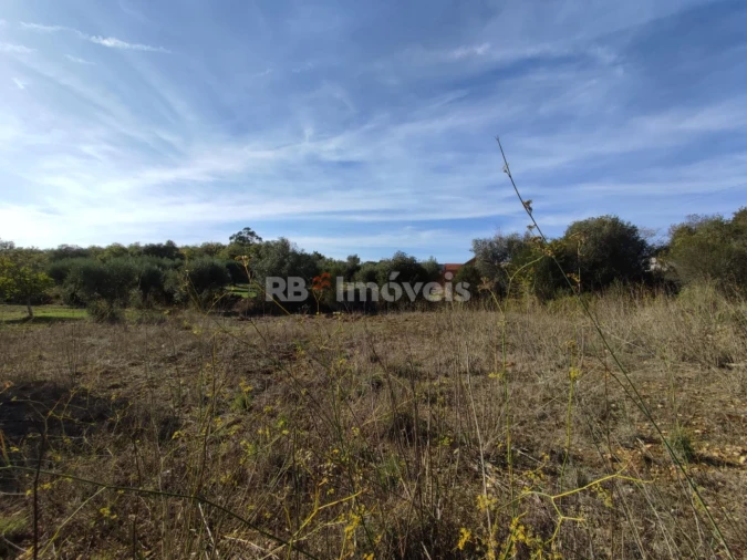 Terreno Agricola ou Rústico para Venda em Além da Ribeira e Pedreira Foto 4