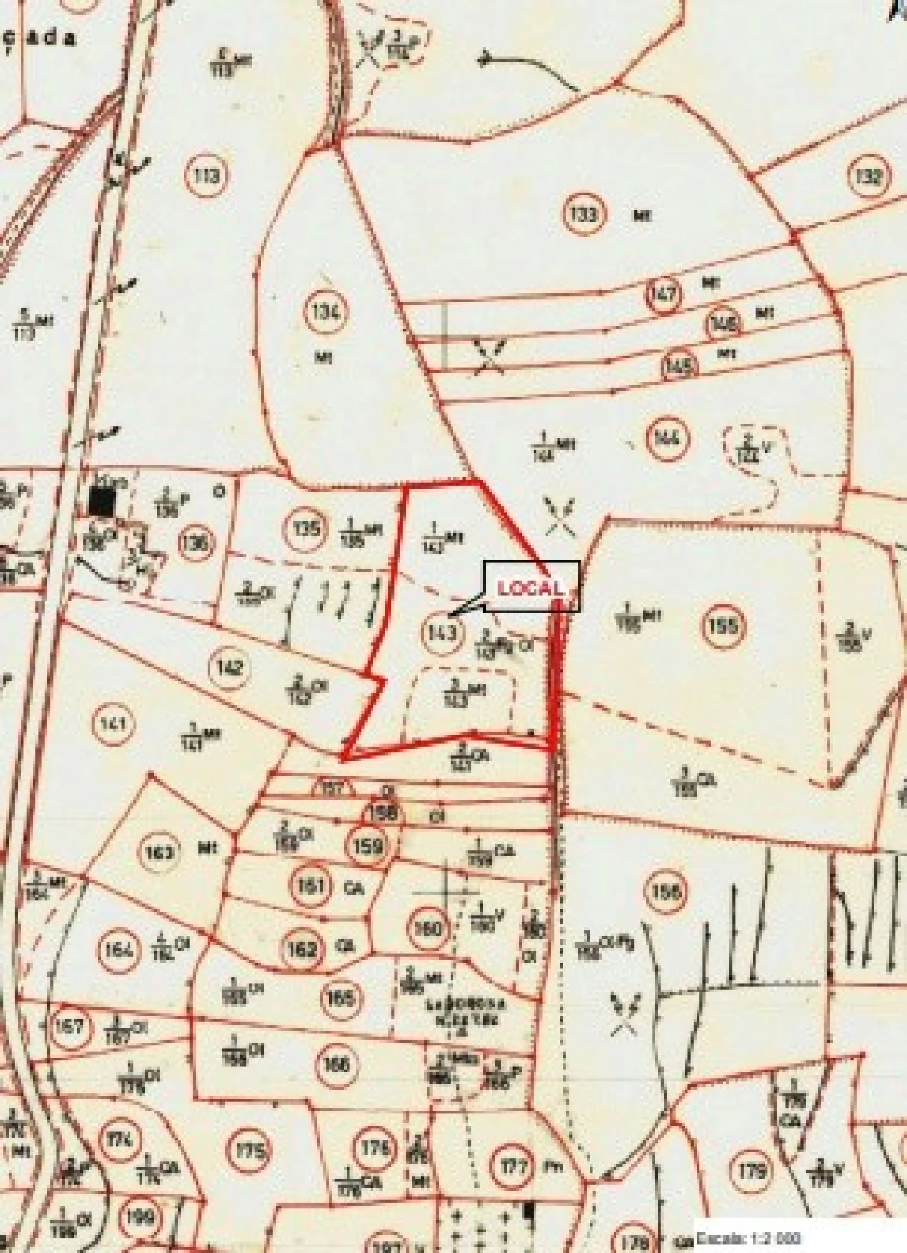 Terreno Agricola ou Rústico para Venda em Além da Ribeira e Pedreira Foto 21