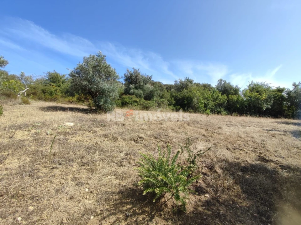 Terreno Agricola ou Rústico para Venda em Além da Ribeira e Pedreira Foto 6