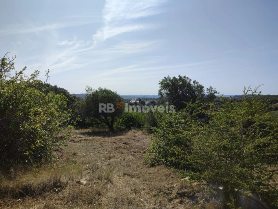 Terreno Agricola ou Rústico para Venda em Além da Ribeira e Pedreira Foto 9