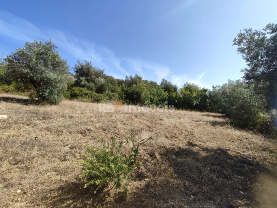 Terreno Agricola ou Rústico para Venda em Além da Ribeira e Pedreira Foto 4