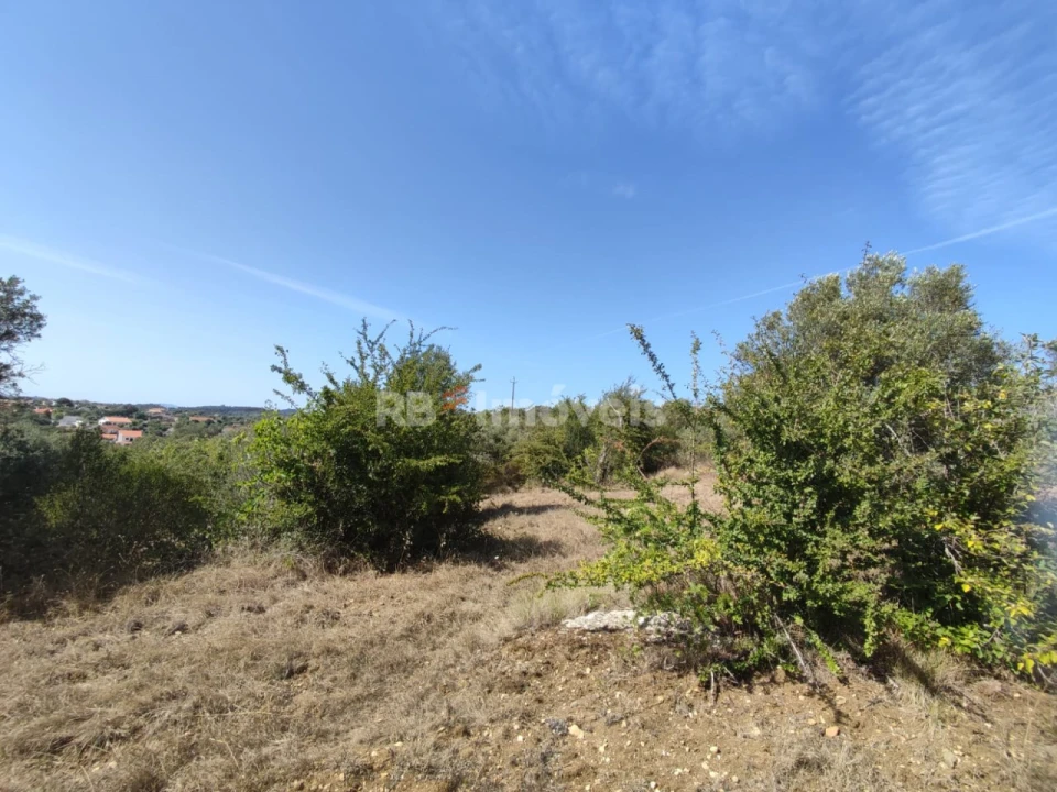 Terreno Agricola ou Rústico para Venda em Além da Ribeira e Pedreira Foto 5