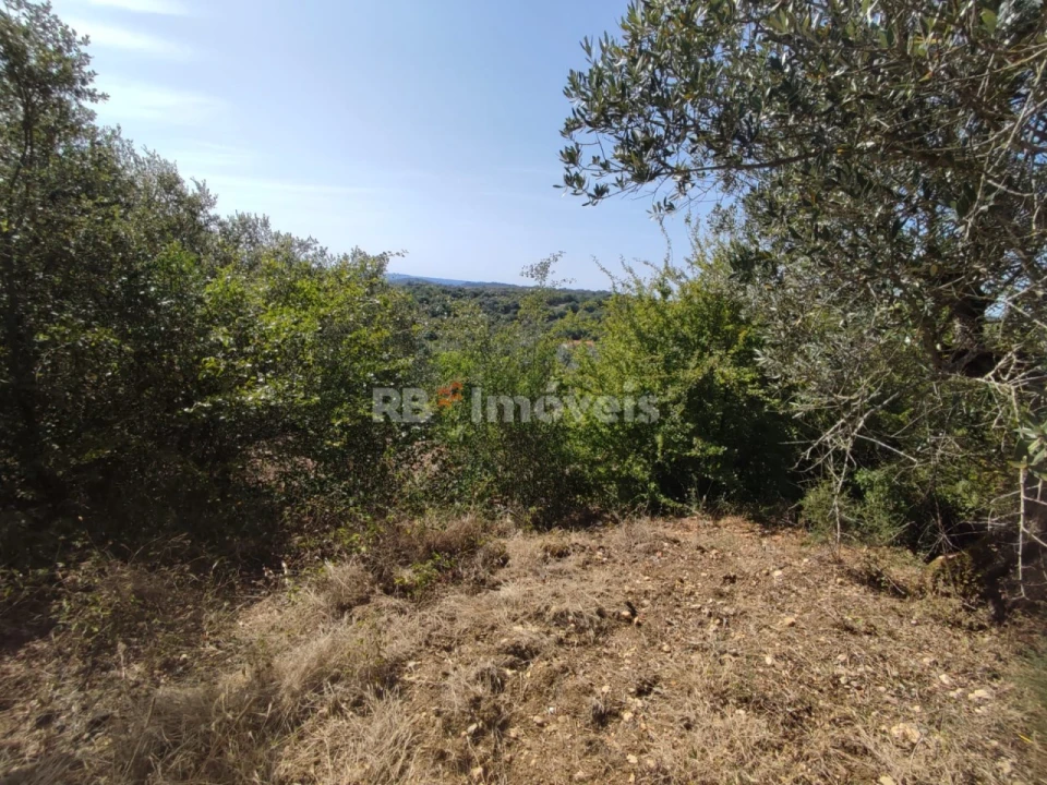 Terreno Agricola ou Rústico para Venda em Além da Ribeira e Pedreira Foto 7