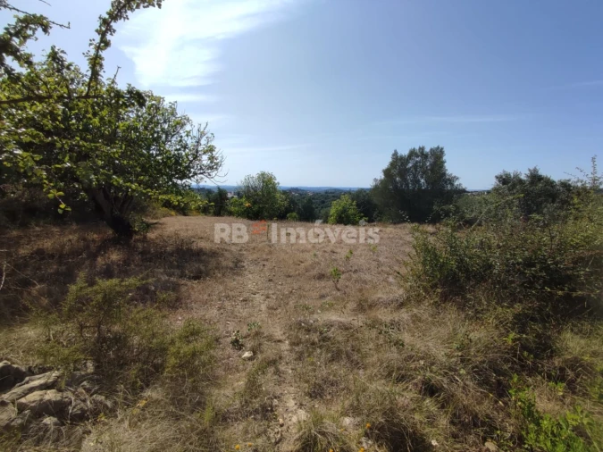 Terreno Agricola ou Rústico para Venda em Além da Ribeira e Pedreira Foto 1