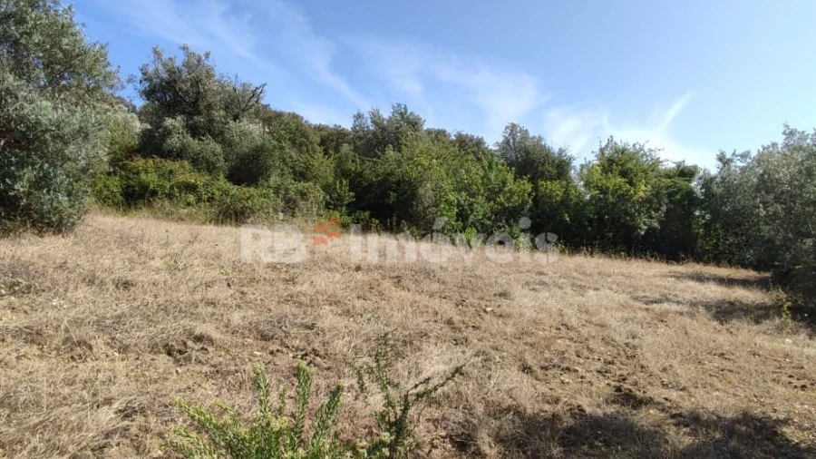 Terreno Agricola ou Rústico para Venda em Além da Ribeira e Pedreira