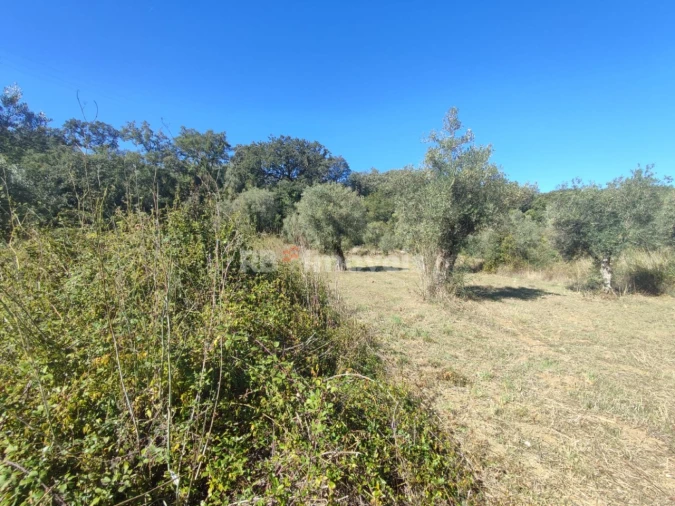 Terreno Agricola ou Rústico para Venda em Além da Ribeira e Pedreira Foto 1