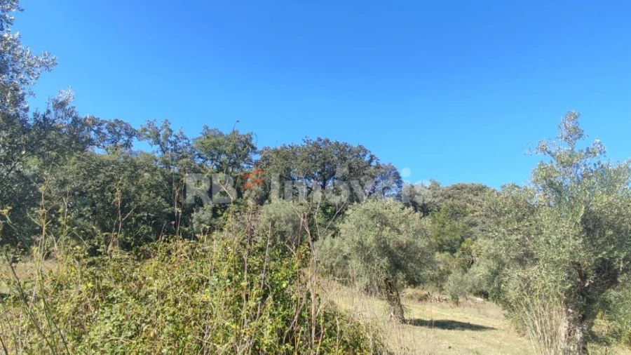Terreno Agricola ou Rústico para Venda em Além da Ribeira e Pedreira