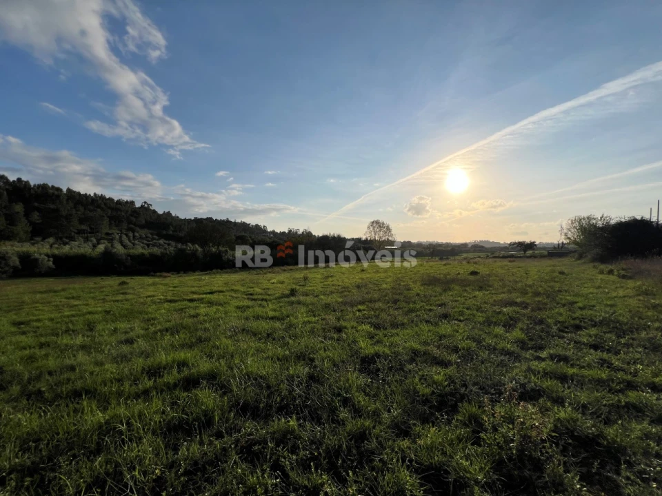 Terreno Agricola ou Rústico para Venda em Serra e Junceira Foto 2