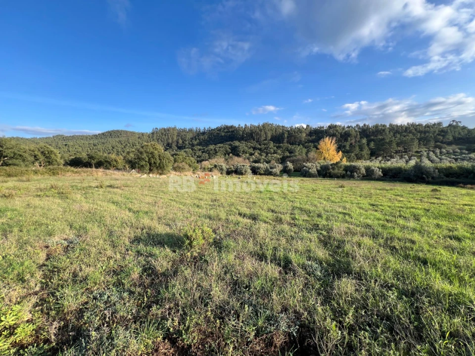 Terreno Agricola ou Rústico para Venda em Serra e Junceira Foto 4
