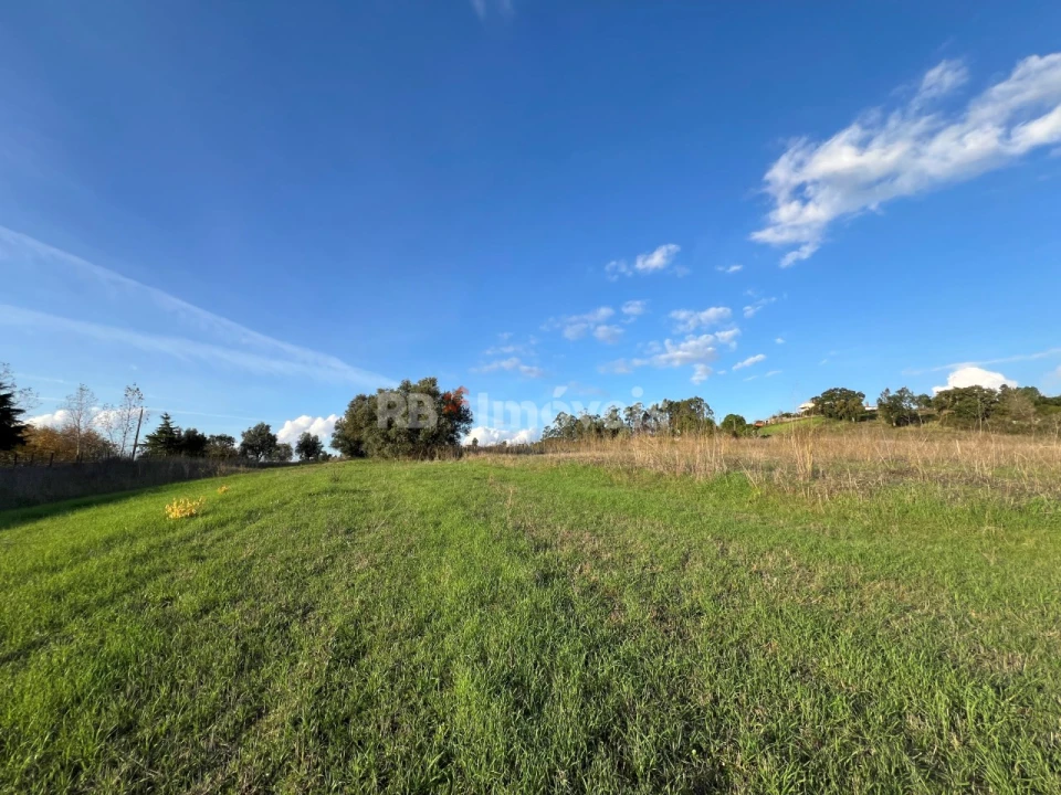 Terreno Agricola ou Rústico para Venda em Serra e Junceira Foto 1