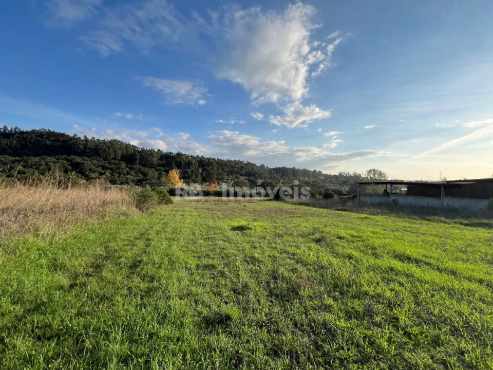 Terreno Agricola ou Rústico para Venda em Serra e Junceira Foto 11