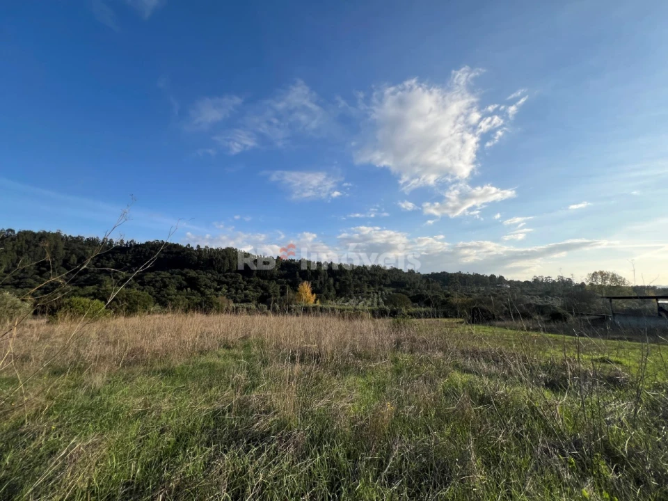 Terreno Agricola ou Rústico para Venda em Serra e Junceira Foto 13