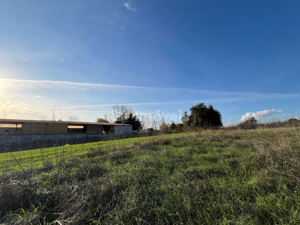 Terreno Agricola ou Rústico para Venda em Serra e Junceira Foto 14