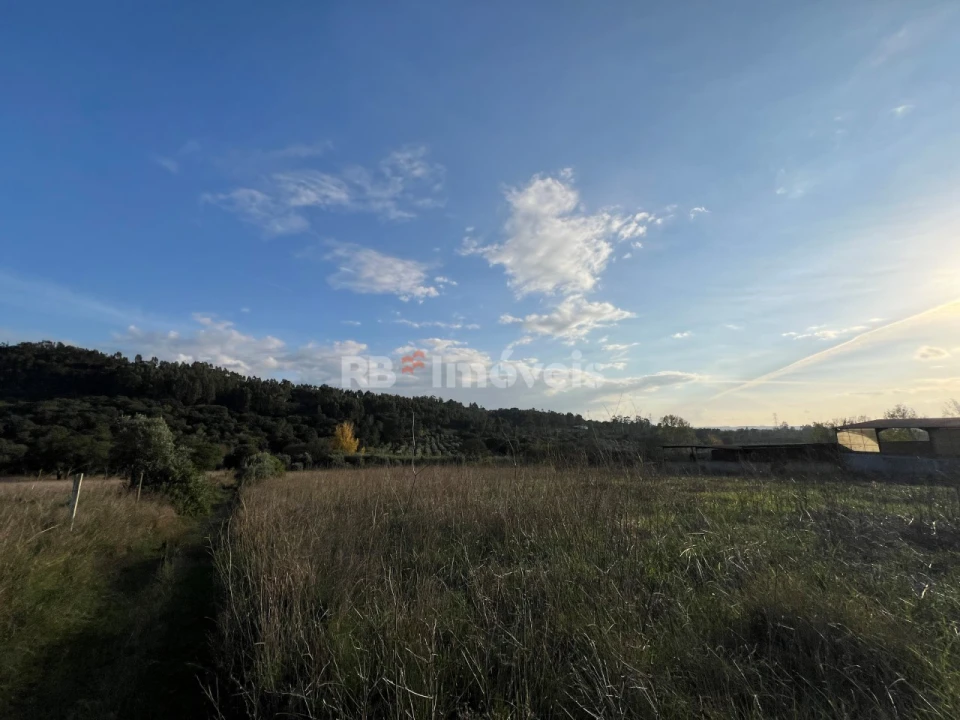 Terreno Agricola ou Rústico para Venda em Serra e Junceira Foto 22