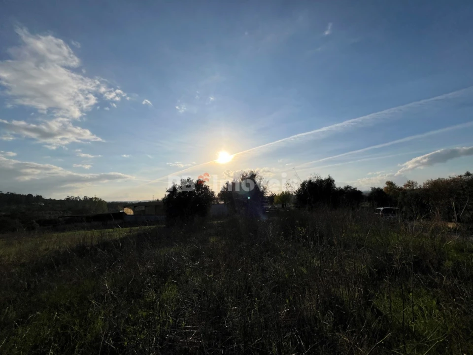 Terreno Agricola ou Rústico para Venda em Serra e Junceira Foto 23