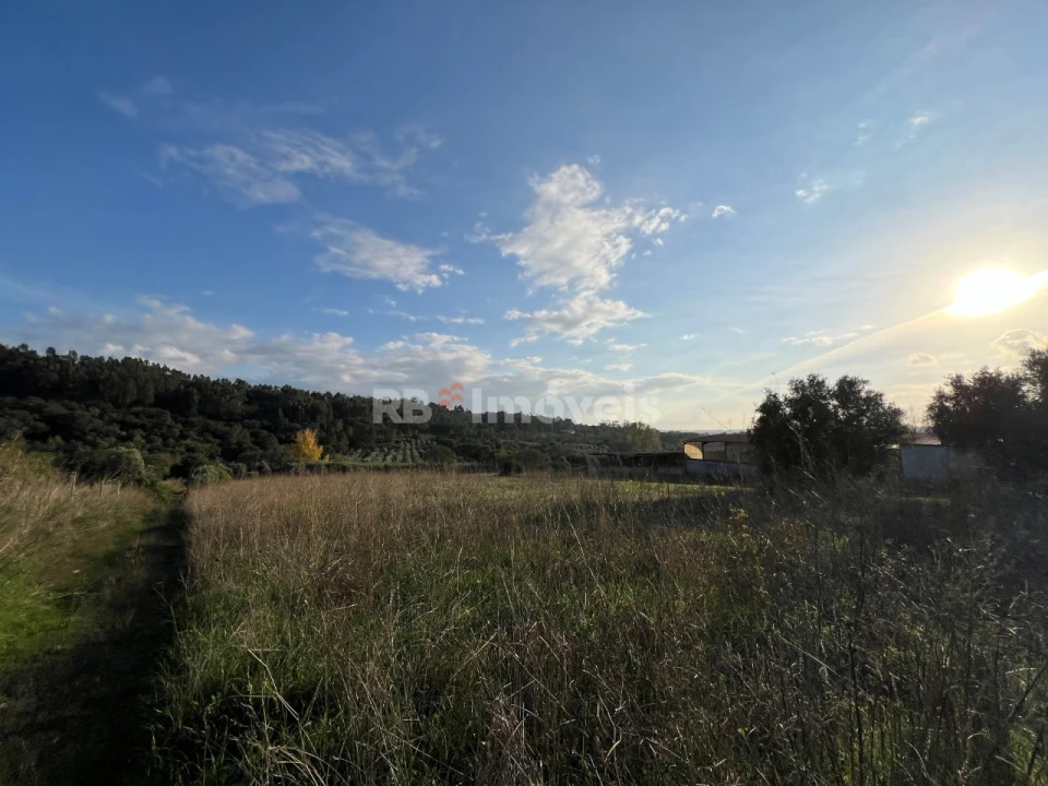 Terreno Agricola ou Rústico para Venda em Serra e Junceira Foto 25