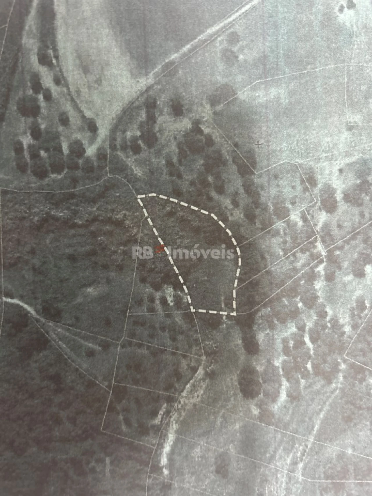 Terreno Agricola ou Rústico para Venda em Serra e Junceira Foto 28