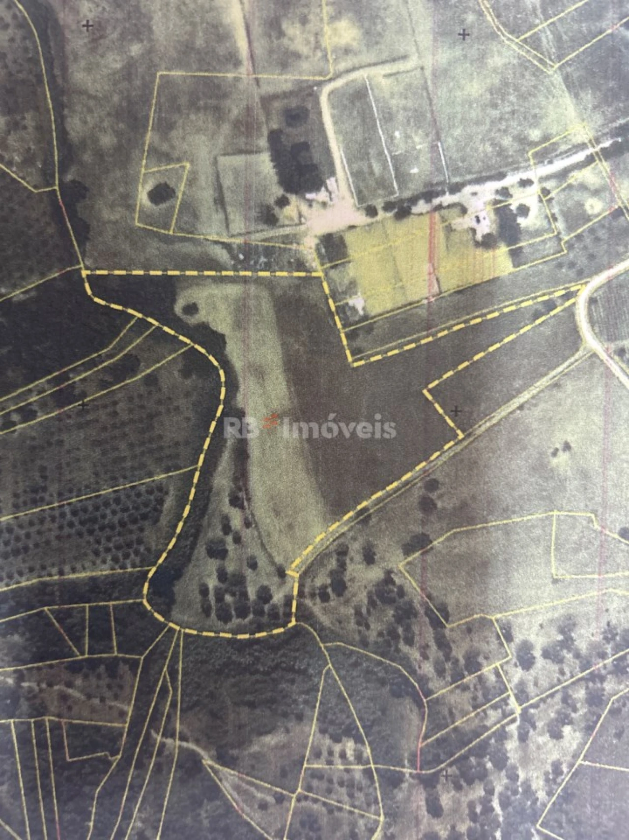 Terreno Agricola ou Rústico para Venda em Serra e Junceira Foto 29