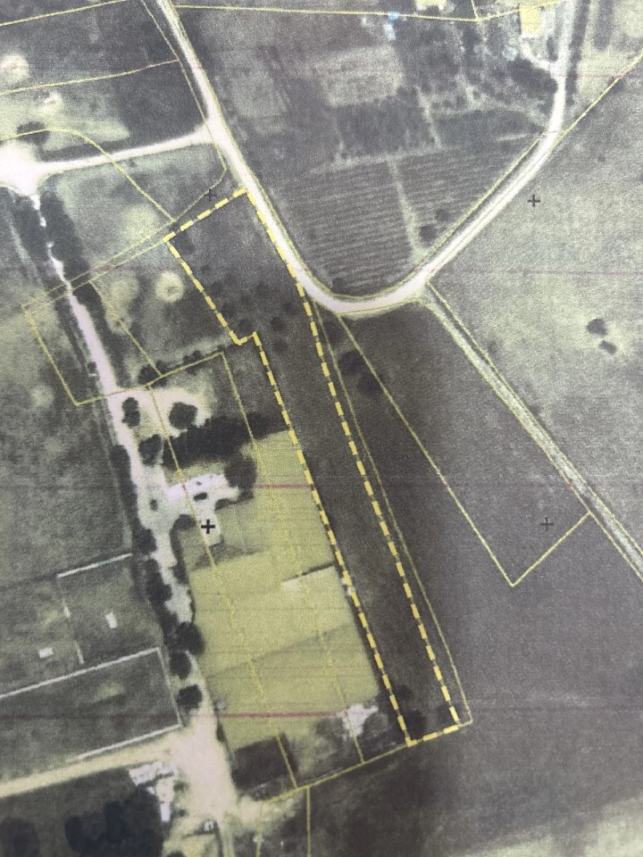 Terreno Agricola ou Rústico para Venda em Serra e Junceira Foto 30