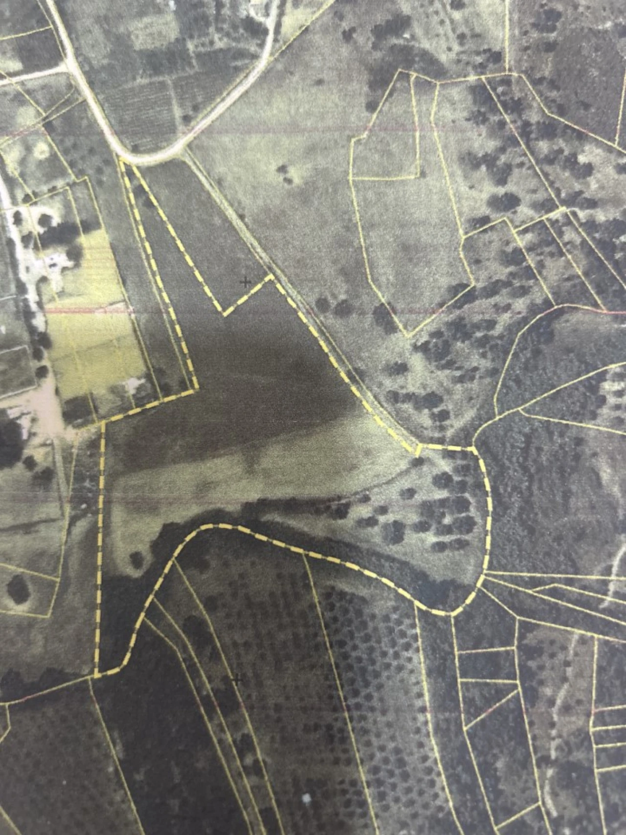 Terreno Agricola ou Rústico para Venda em Serra e Junceira Foto 31