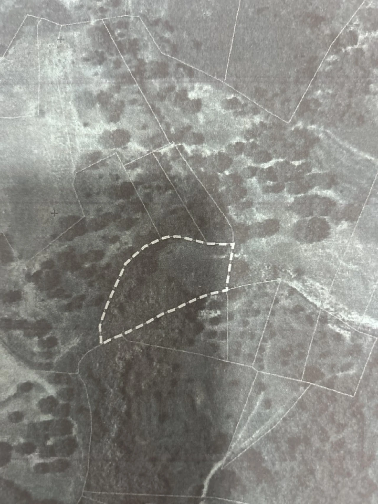 Terreno Agricola ou Rústico para Venda em Serra e Junceira Foto 32