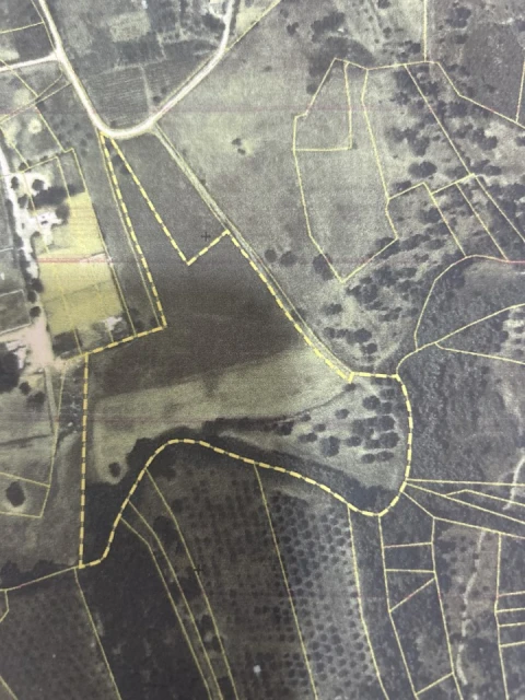 Terreno Agricola ou Rústico para Venda em Serra e Junceira