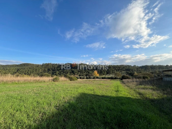 Terreno Agricola ou Rústico para Venda em Serra e Junceira Foto 10
