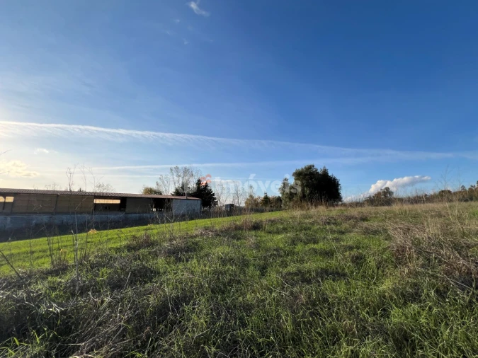 Terreno Agricola ou Rústico para Venda em Serra e Junceira Foto 15