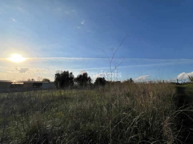 Terreno Agricola ou Rústico para Venda em Serra e Junceira Foto 24