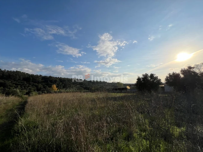Terreno Agricola ou Rústico para Venda em Serra e Junceira Foto 26