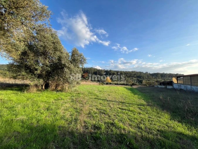 Terreno Agricola ou Rústico para Venda em Serra e Junceira Foto 27