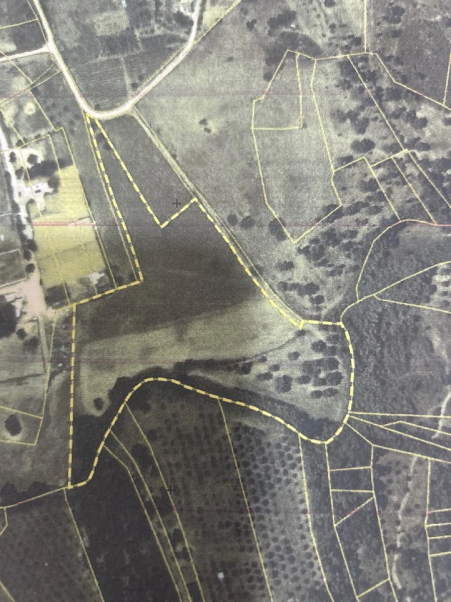 Terreno Agricola ou Rústico para Venda em Serra e Junceira Foto 31