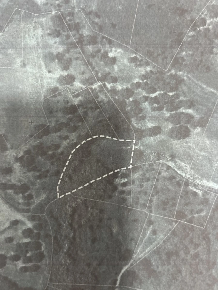 Terreno Agricola ou Rústico para Venda em Serra e Junceira Foto 32