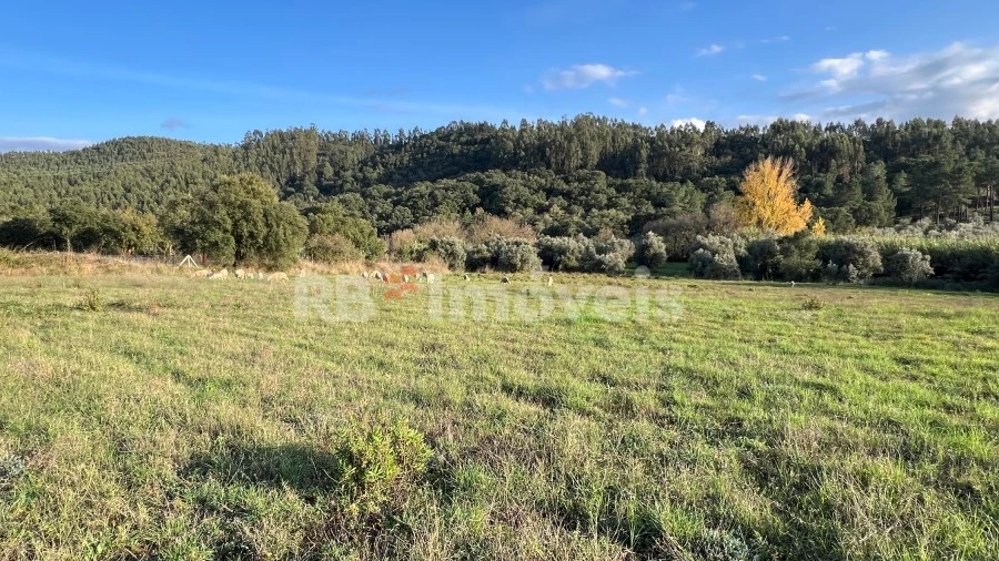 Terreno Agricola ou Rústico para Venda em Serra e Junceira