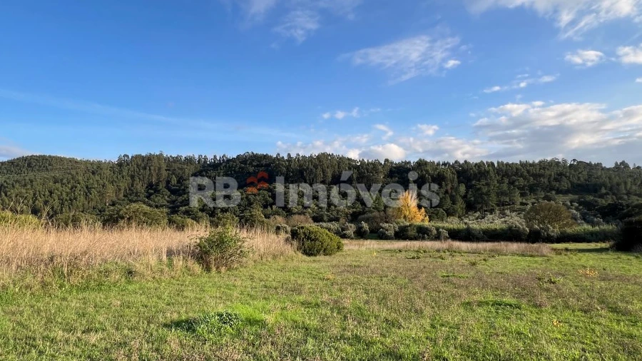 Terreno Agricola ou Rústico para Venda em Serra e Junceira