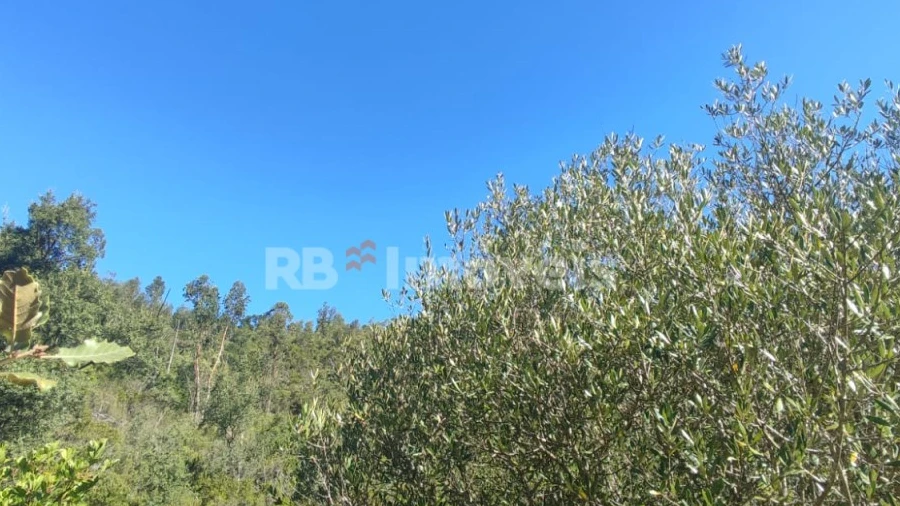 Terreno Agricola ou Rústico para Venda em Além da Ribeira e Pedreira