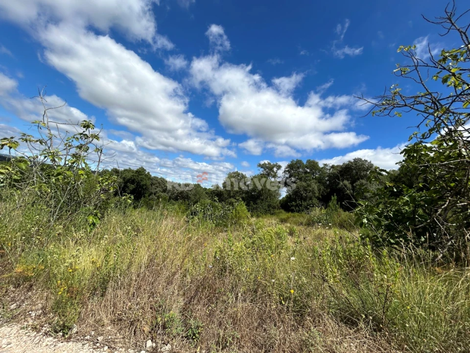 Terreno Agricola ou Rústico para Venda em Madalena e Beselga Foto 21