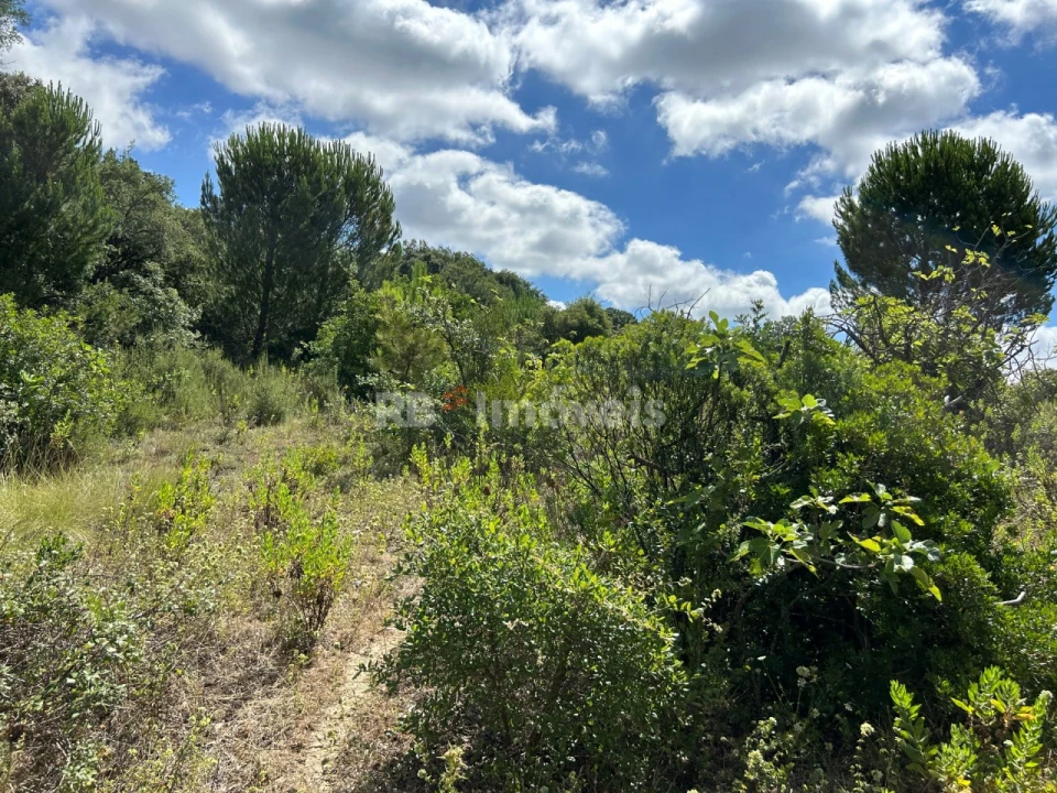 Terreno Agricola ou Rústico para Venda em Madalena e Beselga Foto 31