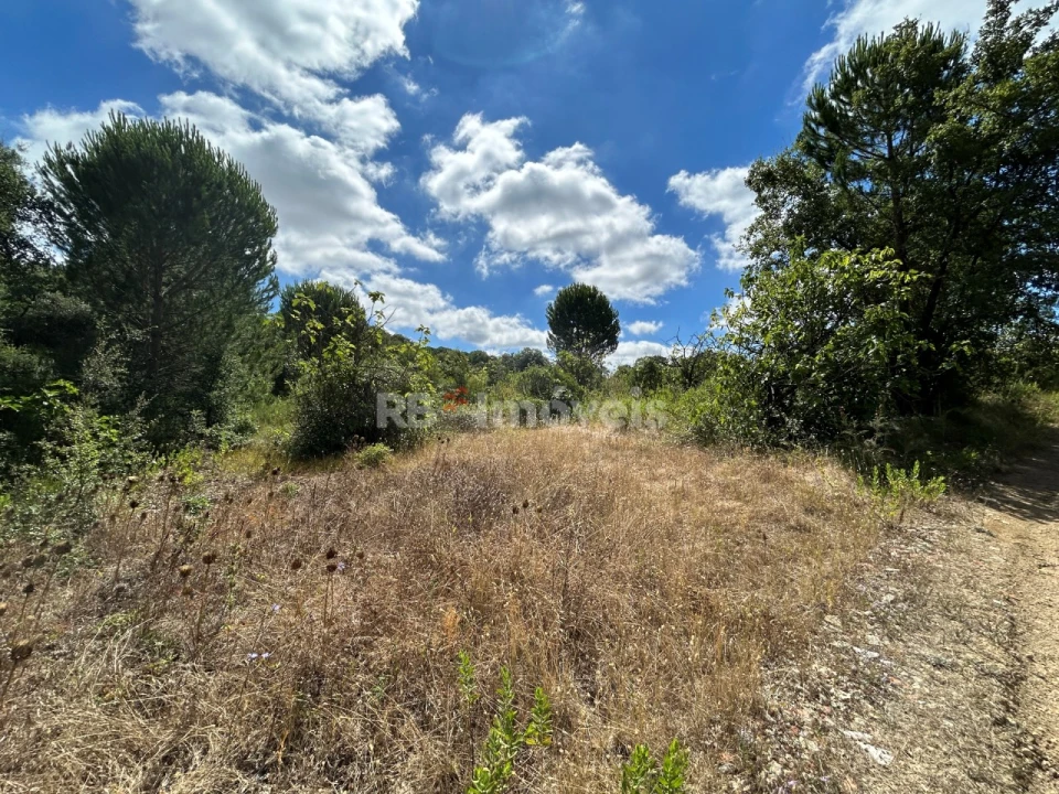 Terreno Agricola ou Rústico para Venda em Madalena e Beselga Foto 35