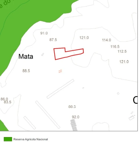 Terreno Agricola ou Rústico para Venda em Madalena e Beselga