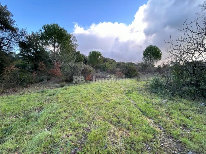 Terreno Agricola ou Rústico para Venda em Madalena e Beselga Foto 8