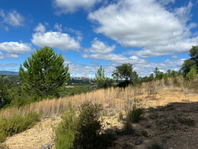 Terreno Agricola ou Rústico para Venda em Madalena e Beselga Foto 18