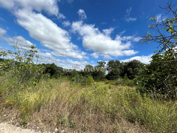 Terreno Agricola ou Rústico para Venda em Madalena e Beselga Foto 21