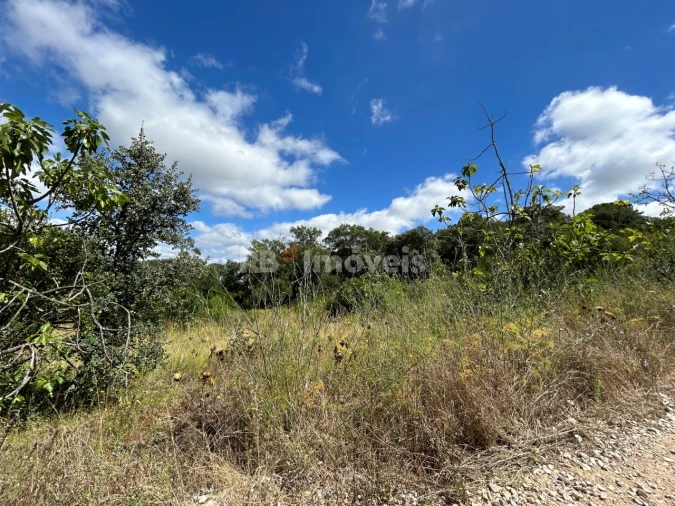 Terreno Agricola ou Rústico para Venda em Madalena e Beselga Foto 23