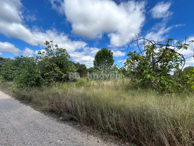 Terreno Agricola ou Rústico para Venda em Madalena e Beselga Foto 26