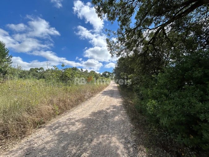 Terreno Agricola ou Rústico para Venda em Madalena e Beselga Foto 29