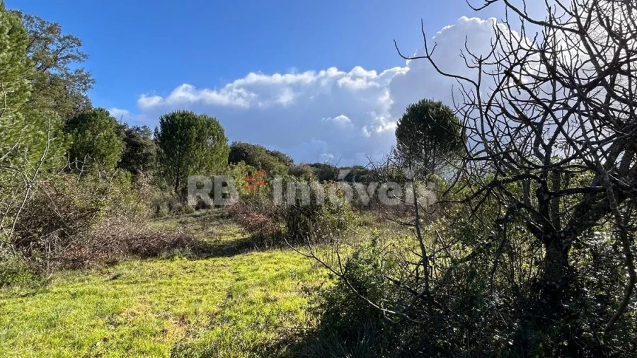 Terreno Agricola ou Rústico para Venda em Madalena e Beselga