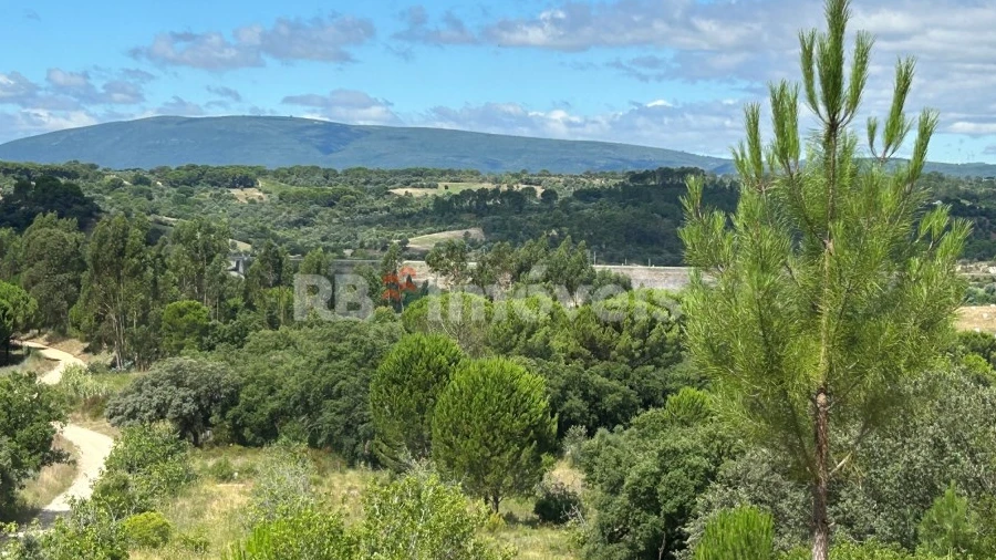 Terreno Agricola ou Rústico para Venda em Madalena e Beselga