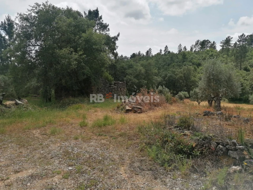 Terreno Agricola ou Rústico para Venda em Além da Ribeira e Pedreira Foto 1
